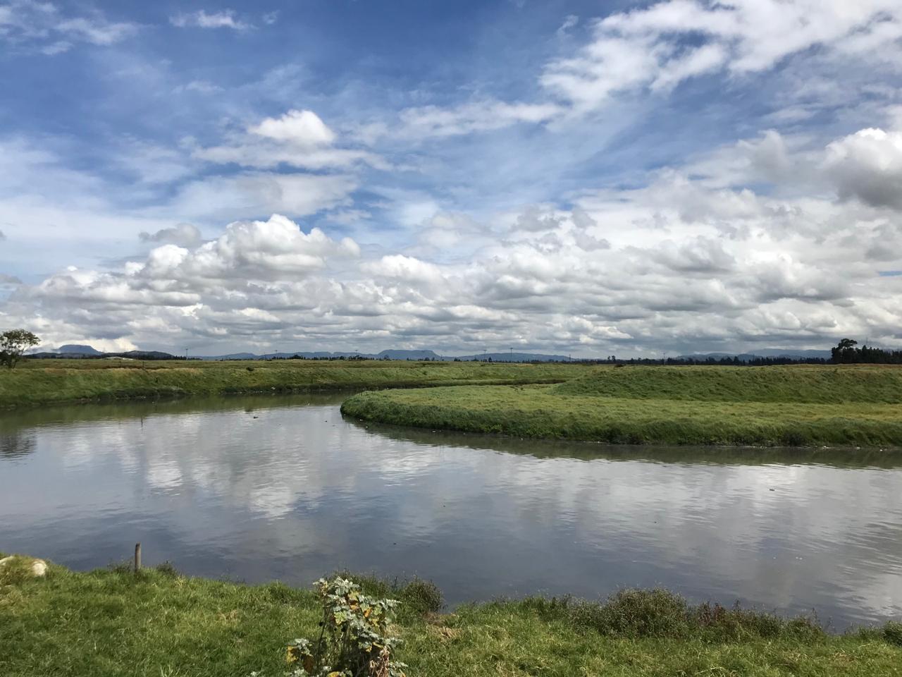 Aceites, elementos sólidos y detergentes al sifón... NO. Cambiemos los hábitos