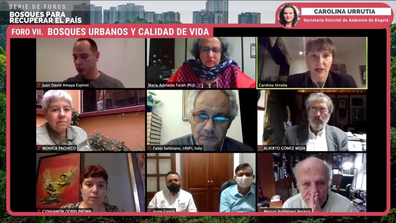 Secretaria de Ambiente, Carolina Urrutia: "Los bosques urbanos deben ser áreas funcionales verdes que complementen la Estructura Ecológica Principal"
