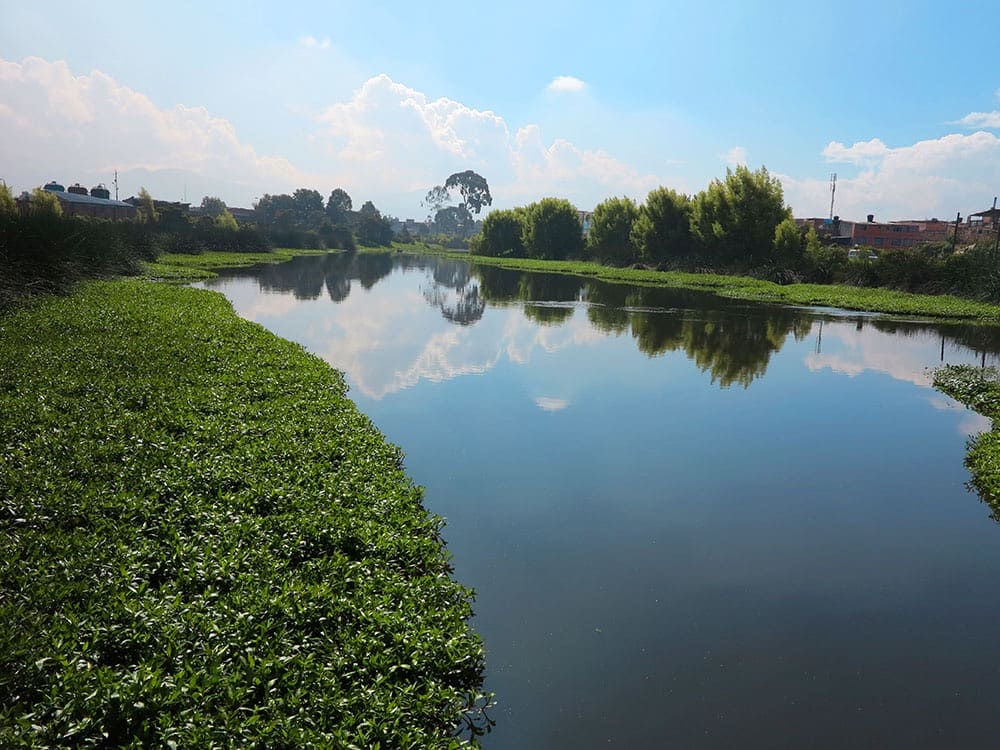 Conoce qué puedes hacer y lo que no está permitido en los humedales de Bogotá