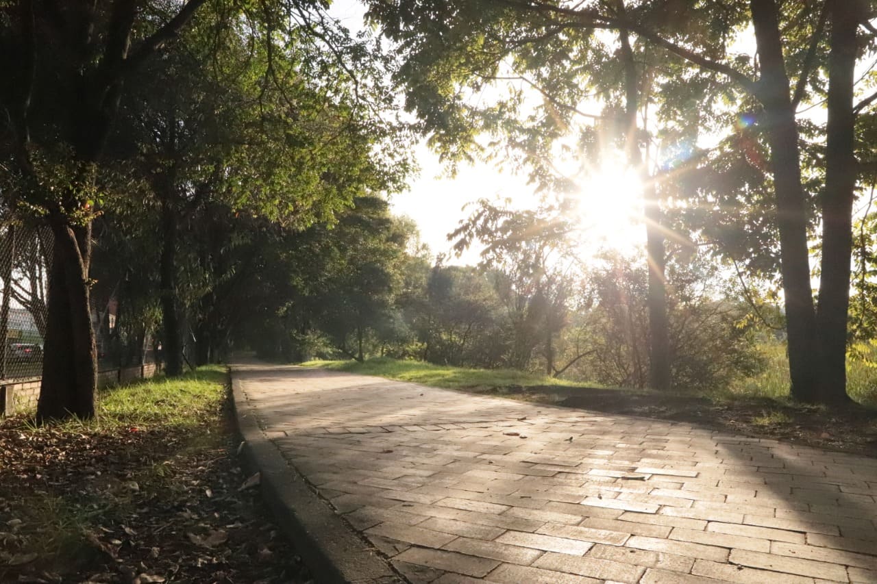 Los senderos del humedal Santa María del Lago están rodeados de una gran diversidad de especies vegetales nativas y endémicas. Los senderos del humedal Santa María del Lago están rodeados de una gran diversidad de especies vegetales nativas y endémicas.