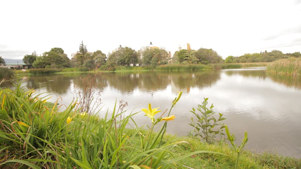 Humedal Santa María del Lago, un lugar en el interior de la ciudad para sumergirse en la naturaleza