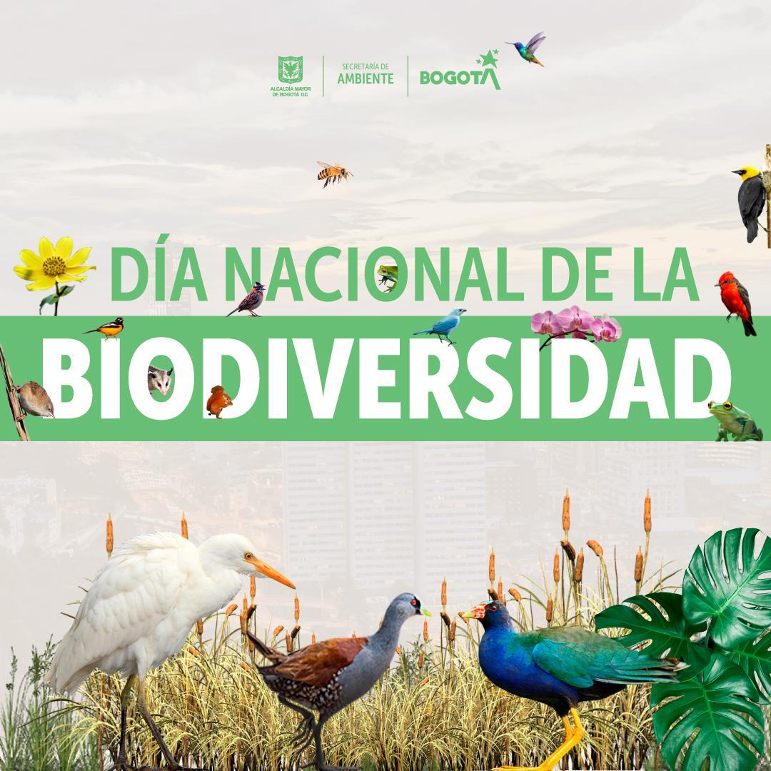 Día Nacional de la Biodiversidad: protección y conservación de todas las formas de vida