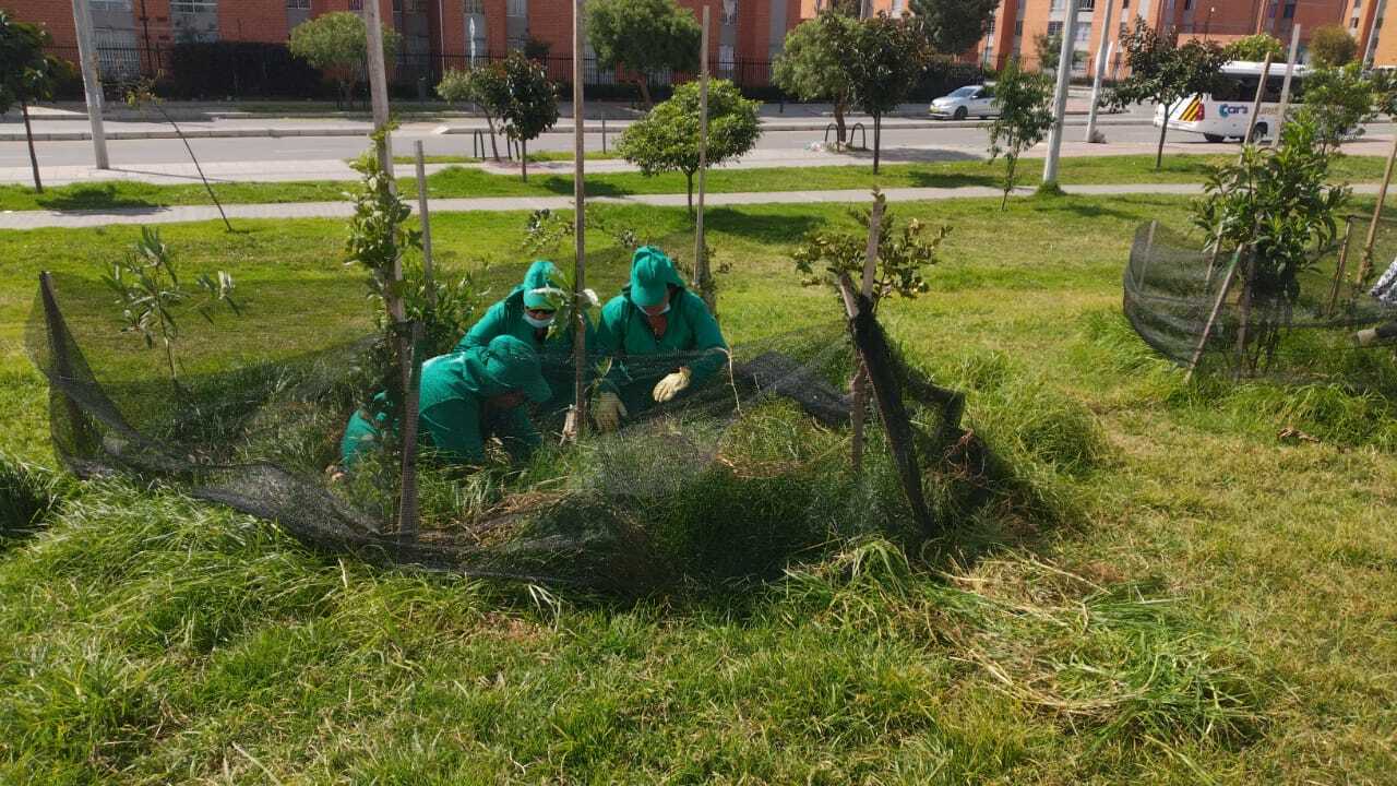 Mujeres que reverdecen fase 2
