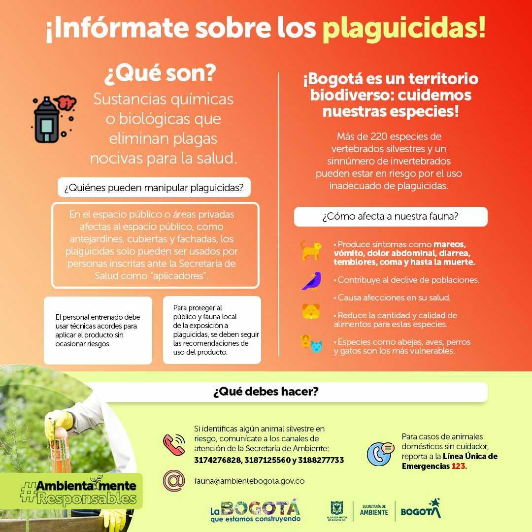pieza infografía plaguicidas