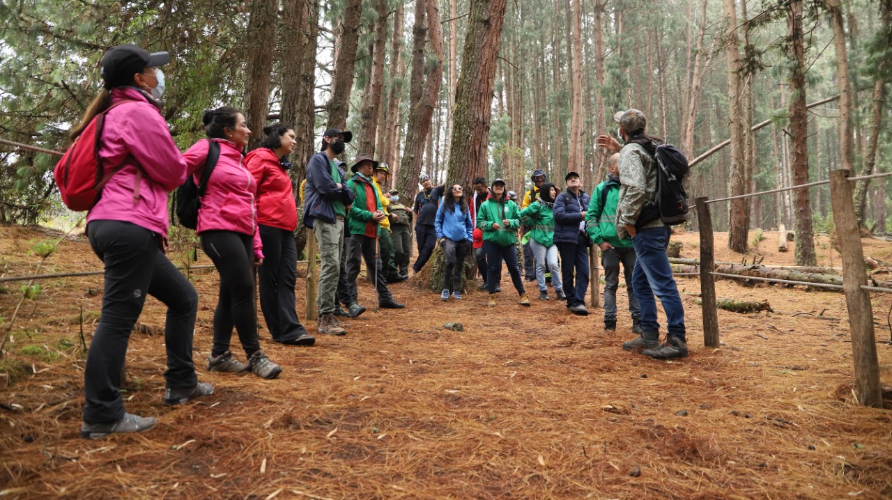 Educación Ambiental 6