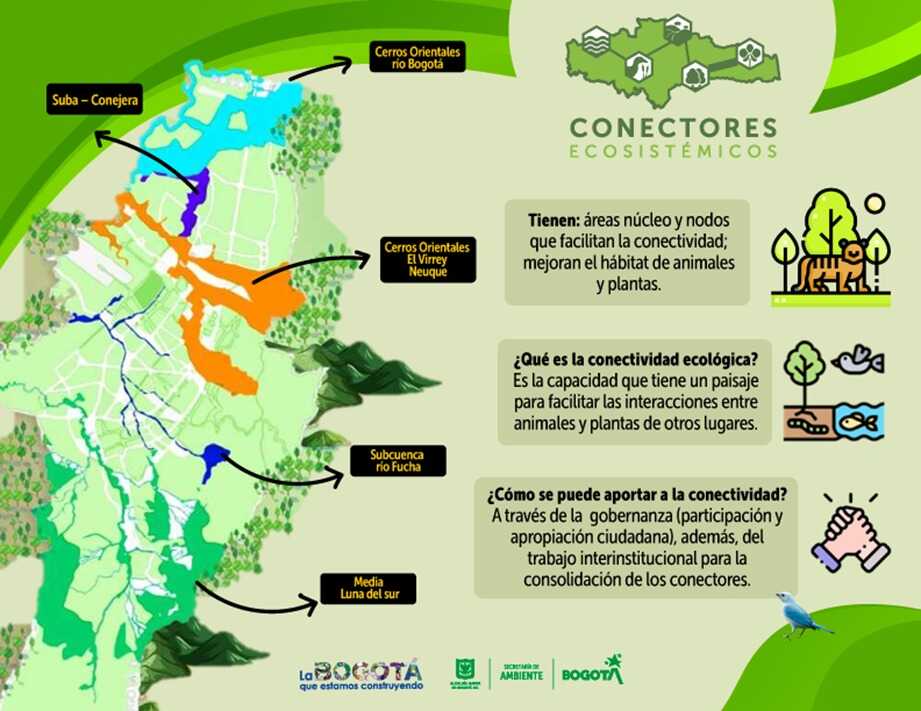 pieza con información de conectores ecosistémicos 