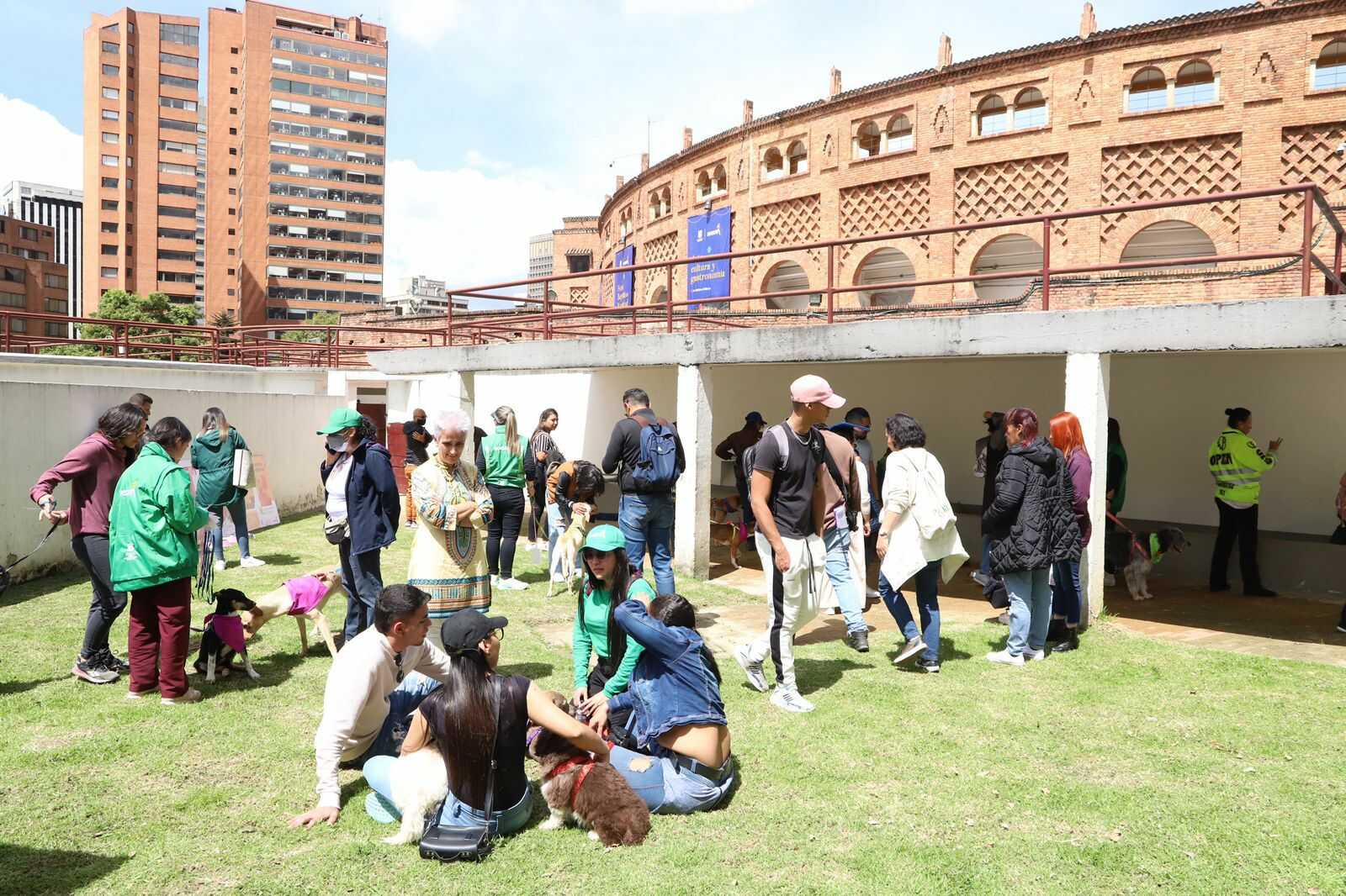 Jornada de adopción 3