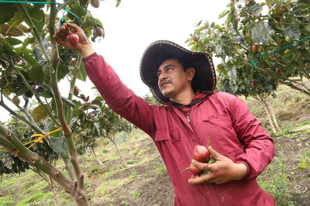 Ruralidad: buenas prácticas para la protección de ecosistemas de alto valor ambiental