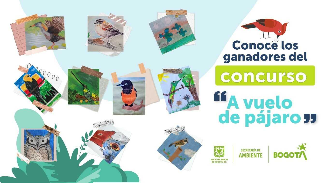 Estos son los ganadores del concurso 'A vuelo de pájaro'