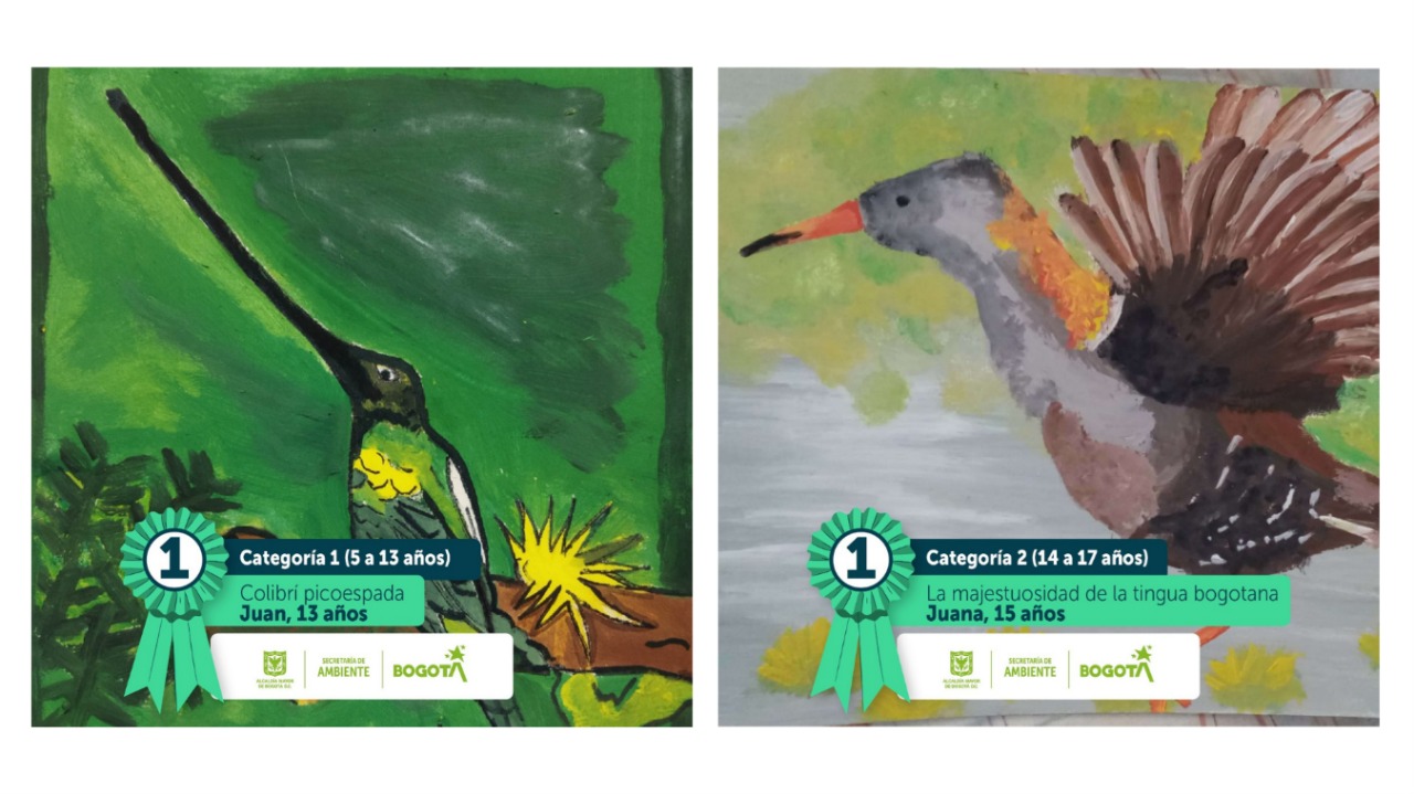 Ganadores concurso A vuelo de pájaro