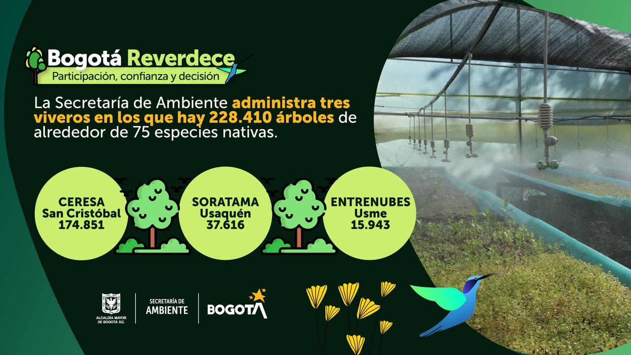 Pieza informativa viveros Bogotá