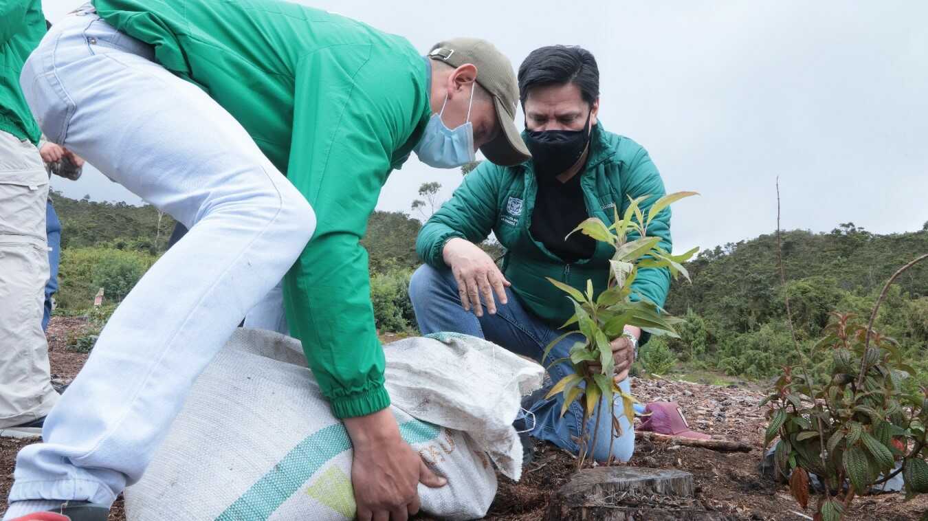 Secretaria de Ambiente, Carolina Urrutia.