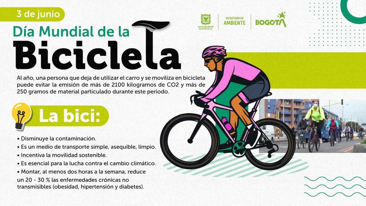 Día Mundial de la Bicicleta: la mejor alternativa para una movilidad limpia y sostenible