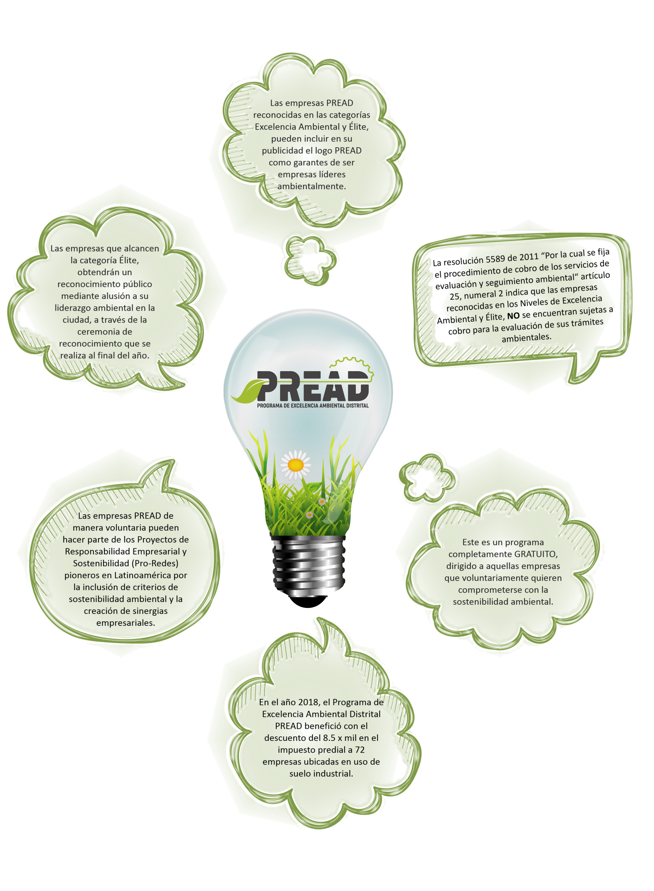 Ilustración conceptual PREAD con bombillos