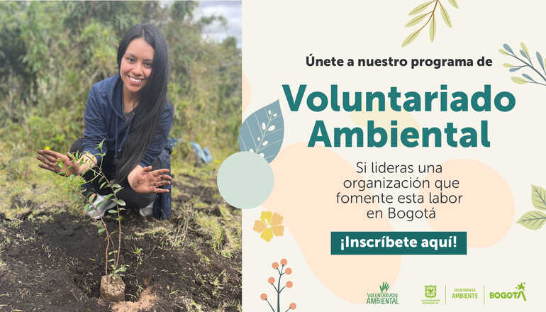 Banner con la foto de una mujer sembrando una planta y el texto: Voluntariado Ambiental, sí lideras una organización que fomente esta labor, inscríbete
