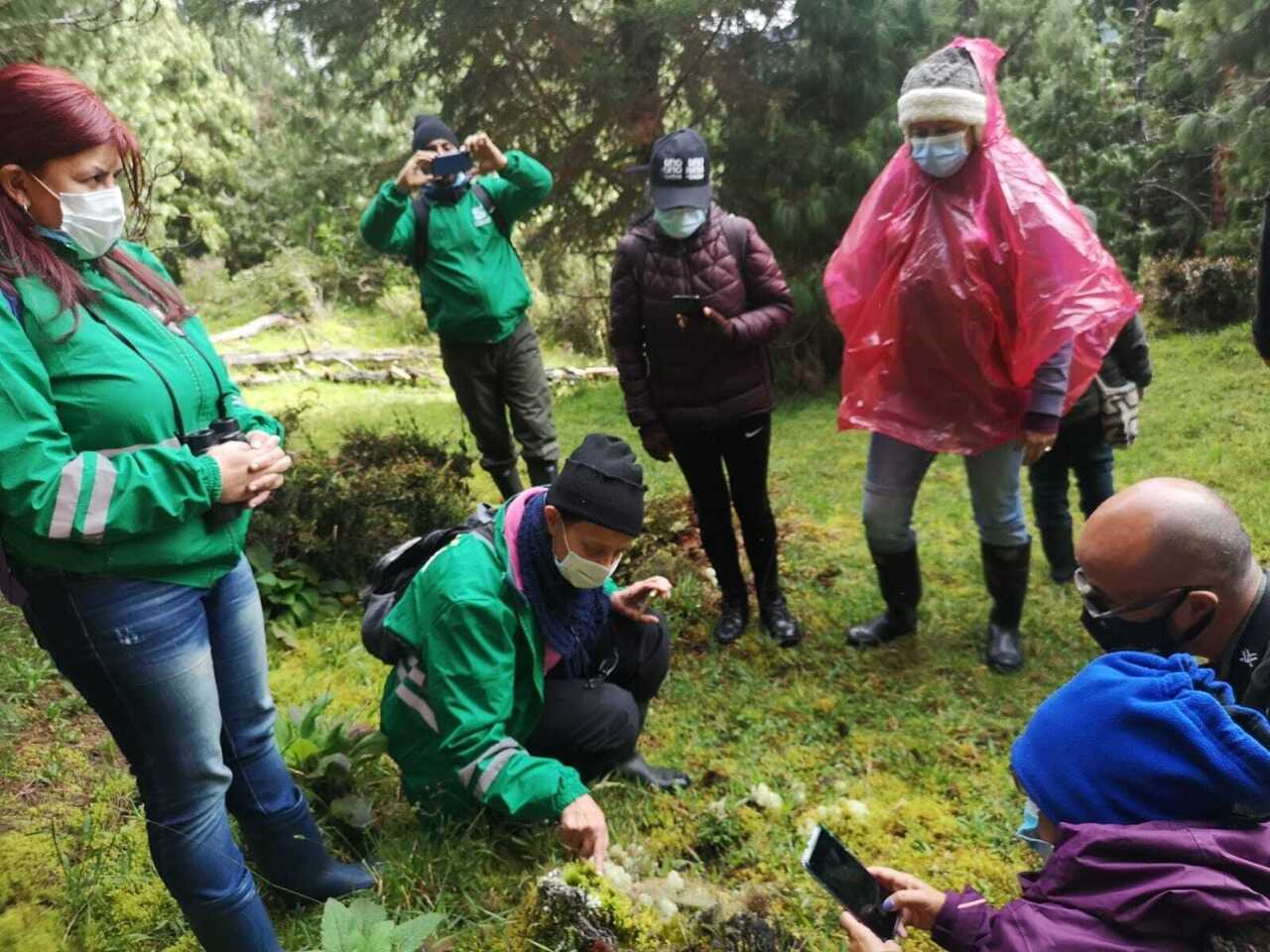 Ciudadanos se unieron a jornadas de monitoreo de la biodiversidad en Bogotá