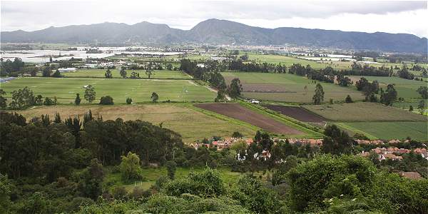 Reserva Van der Hammen