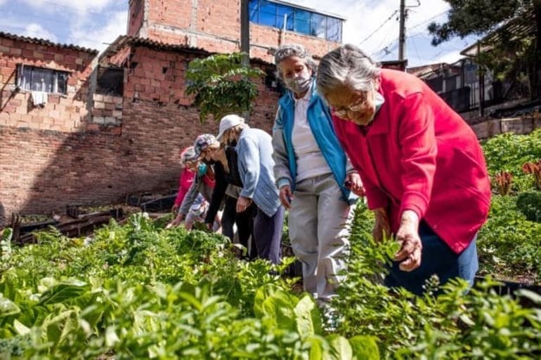 Participación comunidad huerta Bogotá
