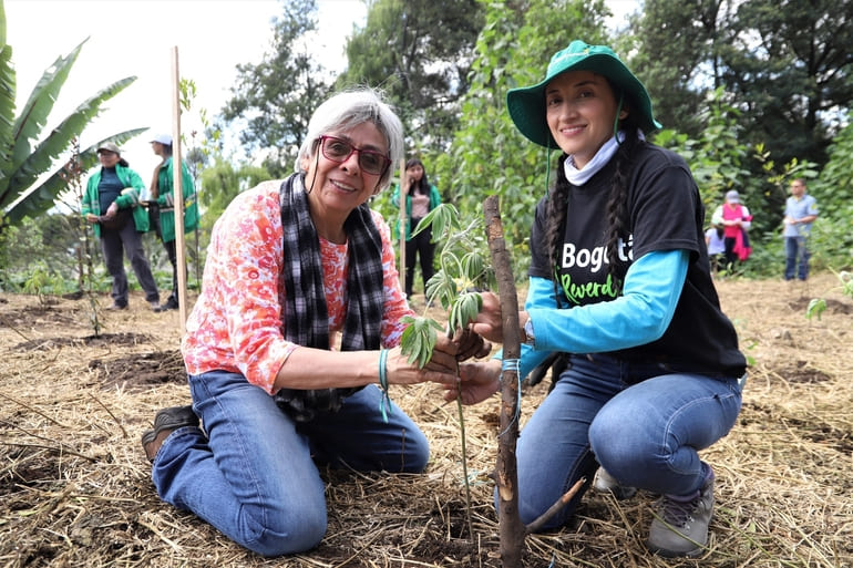 Plantaciones Bogotá