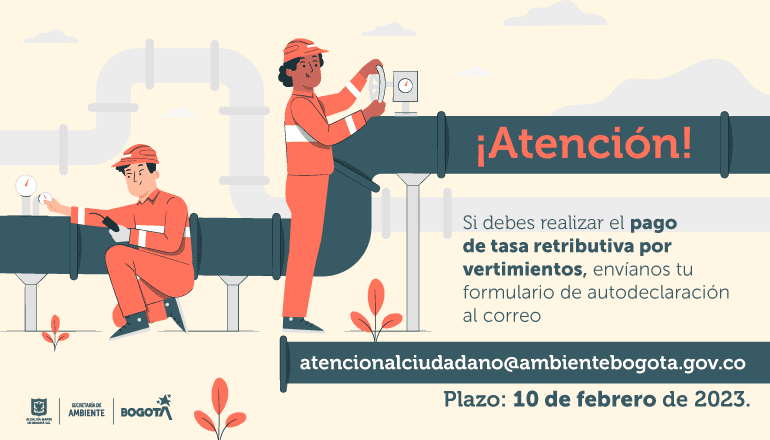 Pieza sobre tasa retributiva