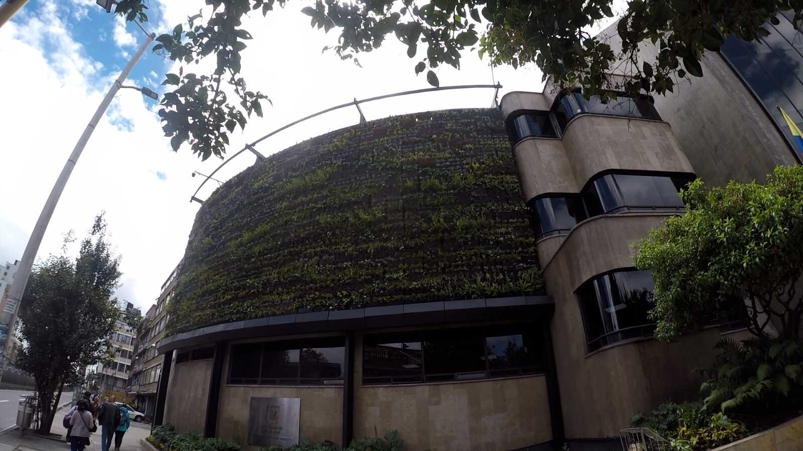 ¿Quieres aprender sobre jardines verticales?, esta es tu oportunidad