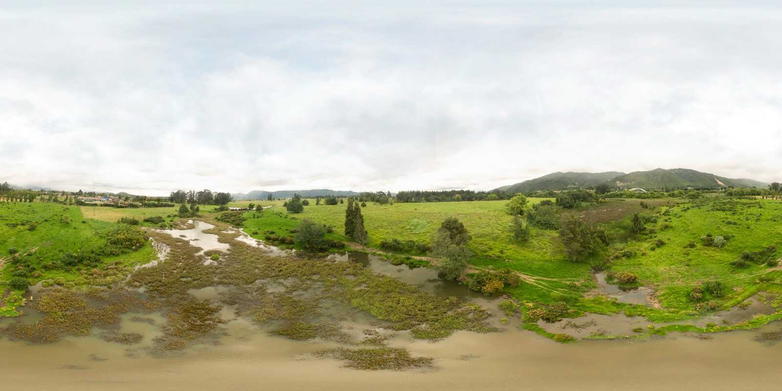 humedales Torca y Guaymaral