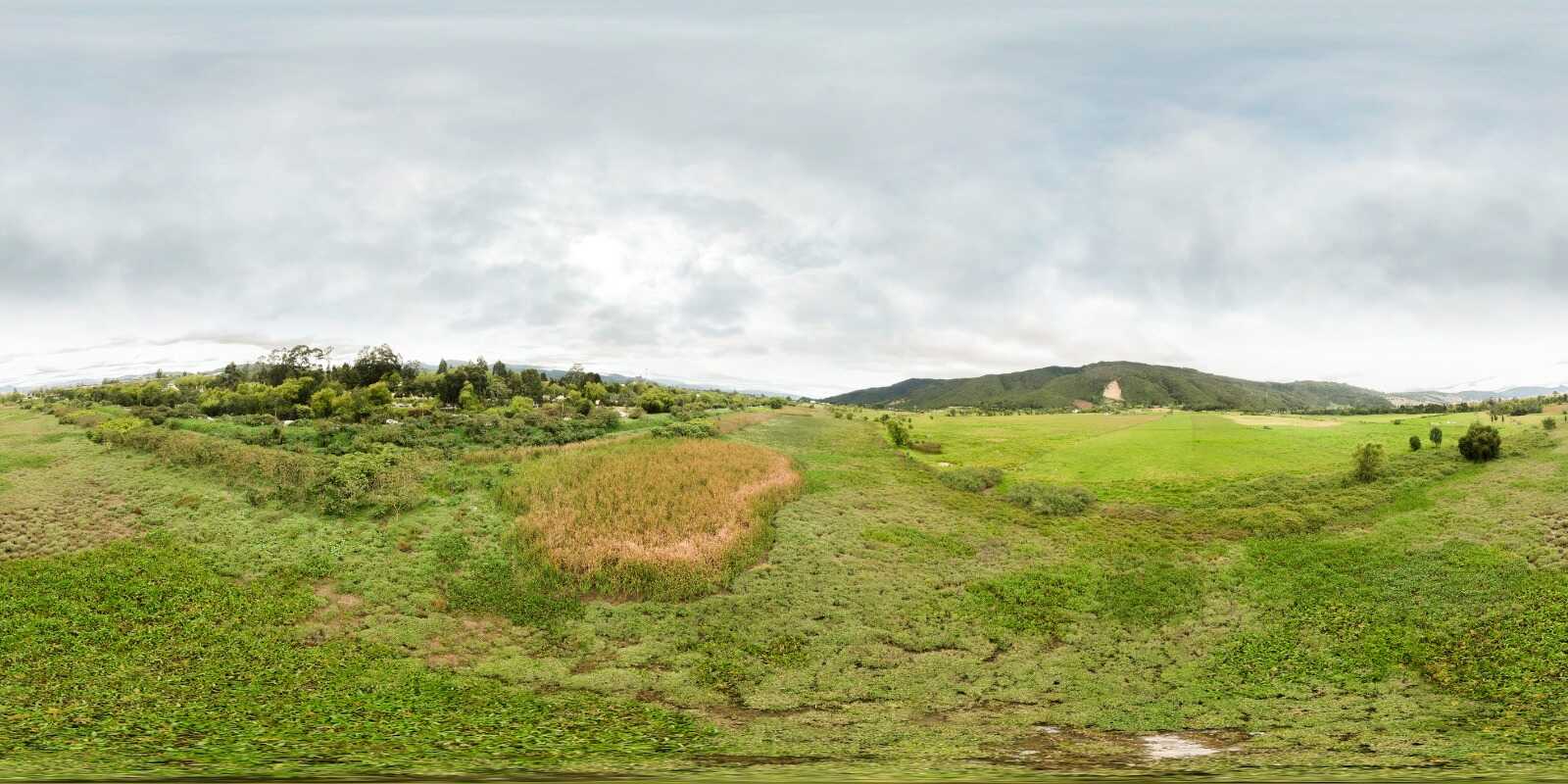 Secretaría de Ambiente avanza en la actualización del Plan de Manejo Ambiental de los humedales Torca y Guaymaral