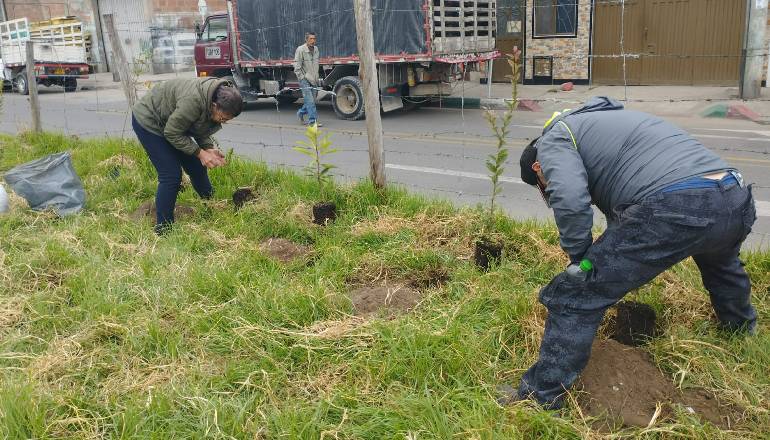 Plantación der árboles en el humedal La Vaca. Foto: Grupo humedales Secretaría de Ambiente. 
