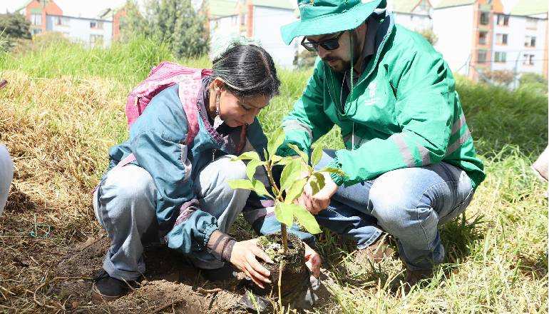 Más de 100 árboles fueron plantados en el humedal de Techo