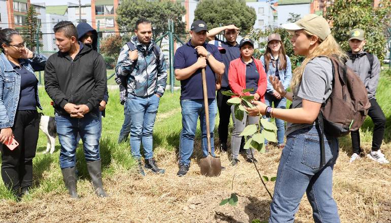 plantación humedal techo