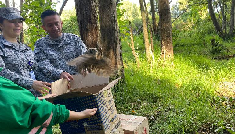 Humedal Guaymaral: refugio de animales silvestres 