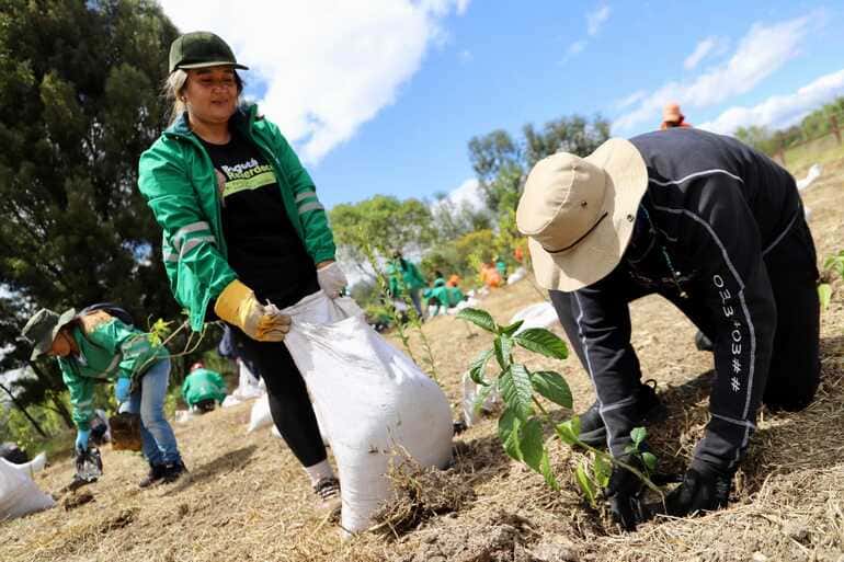 Colaboradora SDA y ciudadano en jornada de plantación 