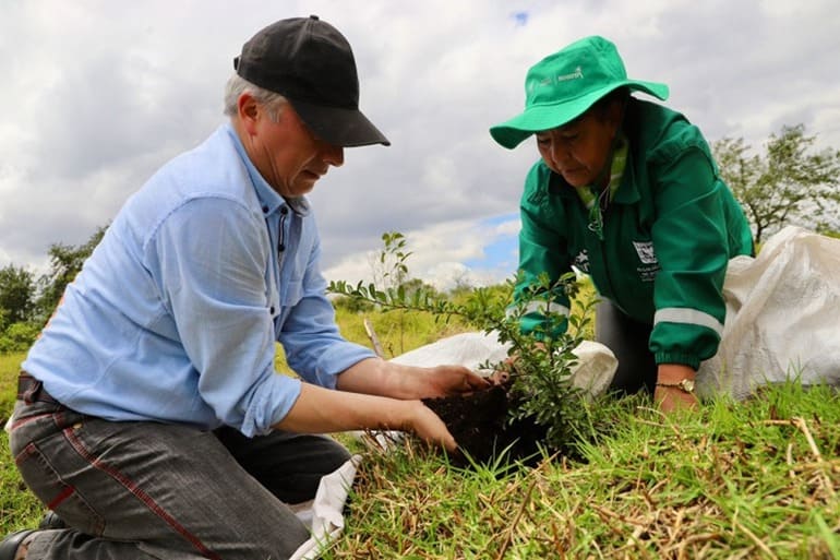 Distrito avanza con la plantación de árboles: 186 nuevos individuos fueron sembrados en el humedal Capellanía