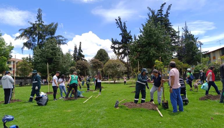 Distrito y Mujeres que Reverdecen plantaron 128 árboles en el Bosque Urbano Santa Helena