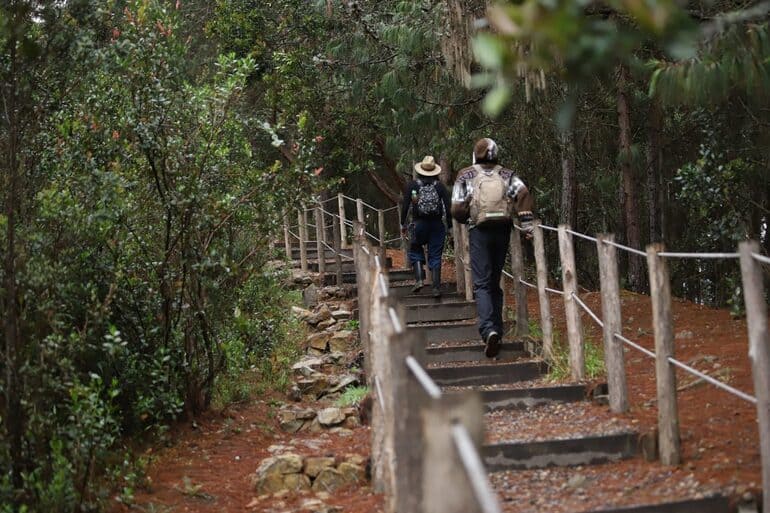 Caminatas: inscríbete y conoce la biodiversidad de Bogotá