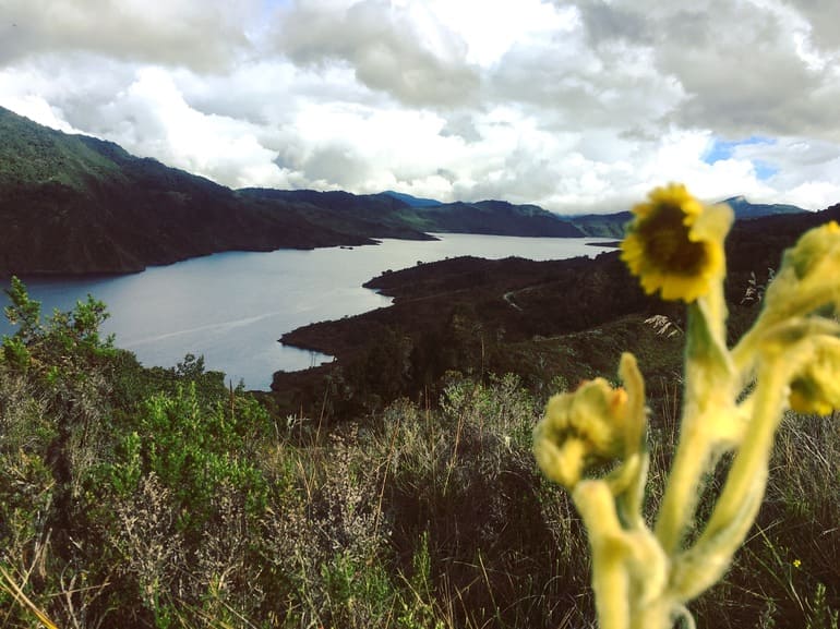 El páramo de Chingaza abastece de agua a la ciudad de Bogotá. Junto con Sumapaz y Guerrero conforman el sistema de páramos más grande del mundo.