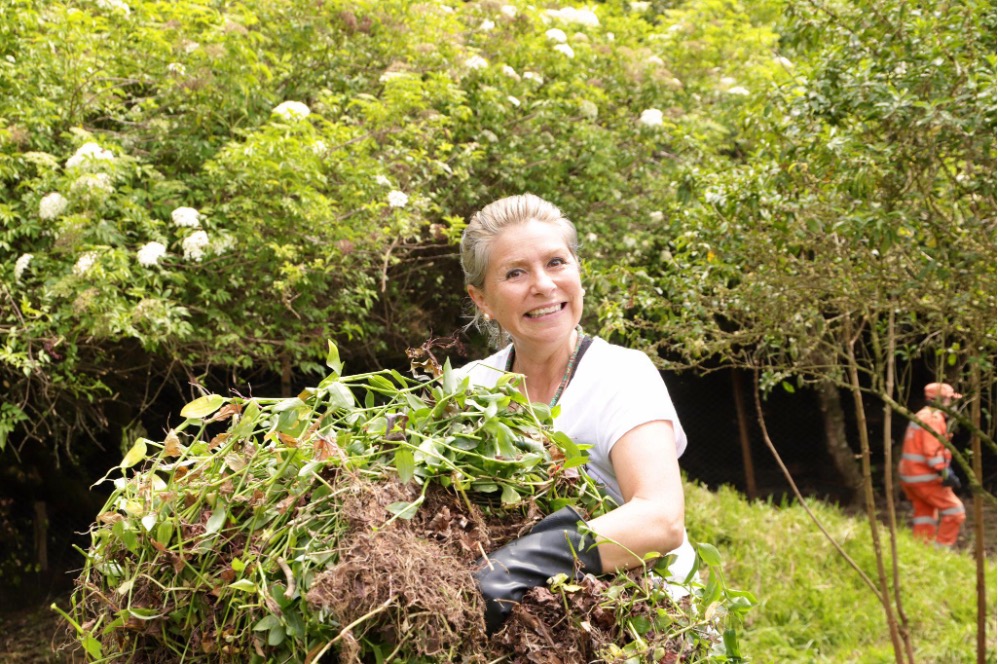 Abierta convocatoria para postular a organizaciones que desarrollan actividades de voluntariado ambiental en Bogotá