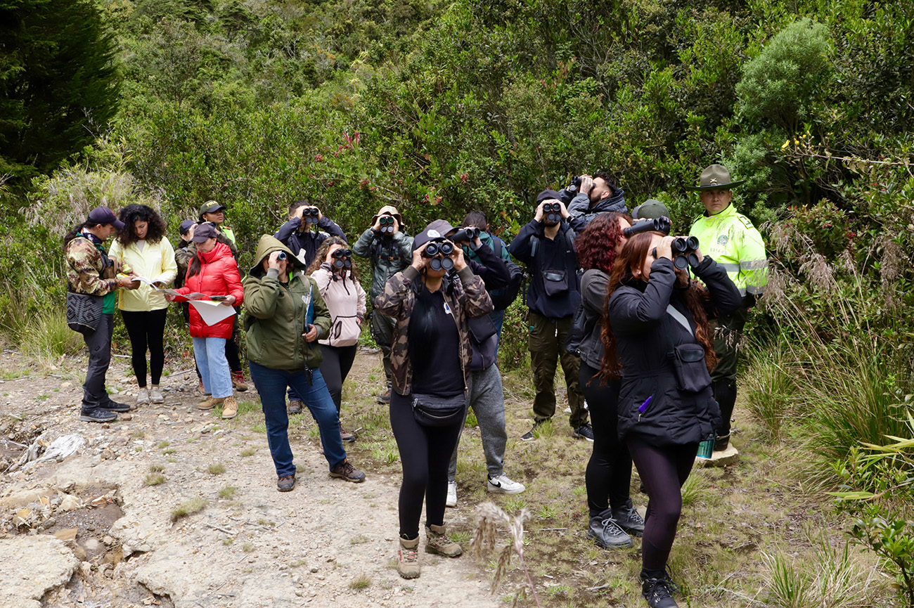 Bogotá alcanzó 197 especies de aves registradas  en el último October Big Day