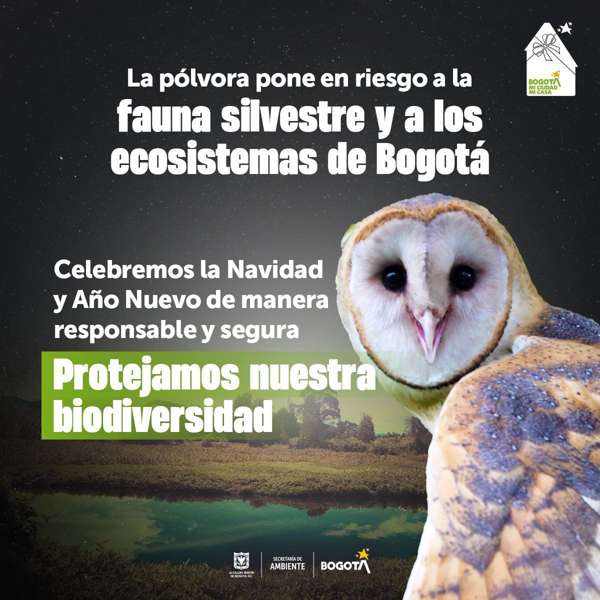 En Navidad y Fin de Año la Secretaría de Ambiente hace un llamado a no quemar pólvora y a proteger la fauna silvestre