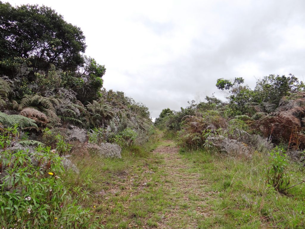 Bogotá formuló el Plan de Manejo Ambiental del Parque Distrital Ecológico de Montaña Cerro de La Conejera