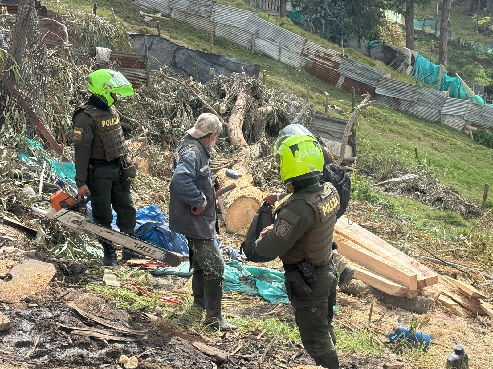 Foto: tala de árboles en el Parque Ecológico Distrital de Montaña Cerro Seco.