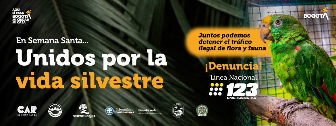 Unidos por la vida silvestre