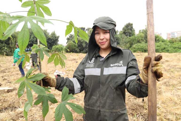 Distrito plantó 500 árboles en el humedal El Burro